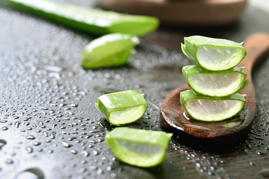 Everything you need to know about Aloe Vera Gel. The science, how to use and DIY recipes.