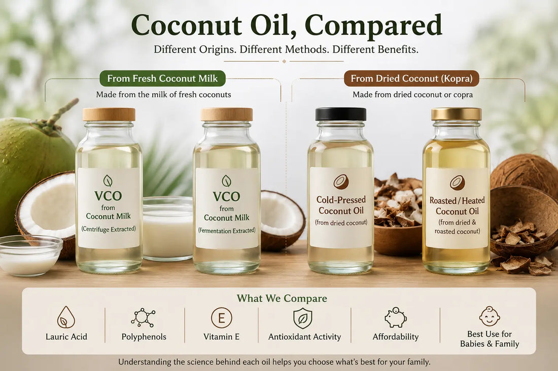 Coconut oil comparison: oils made from fresh coconut milk and dried coconut